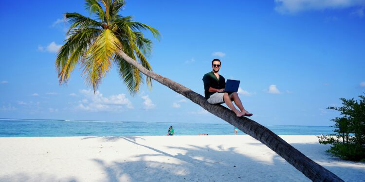 a man sitting on a palm tree using a laptop for workation