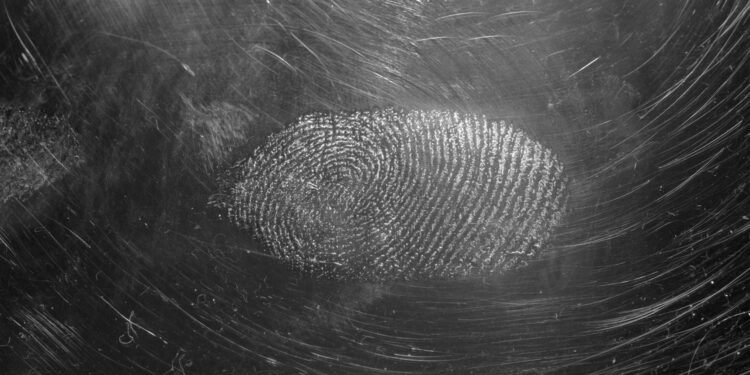 Fingerprint used for biometric authentication