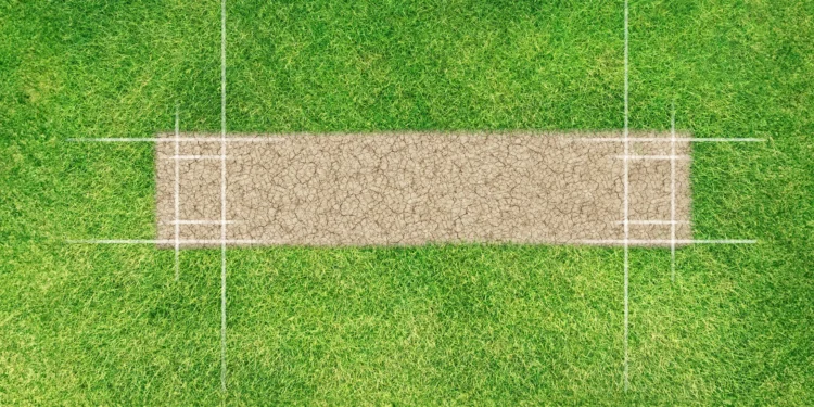 lines on a green field demonstrating how many creases are there in cricket